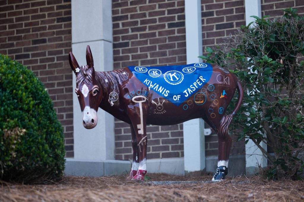 Donkey with logos on it